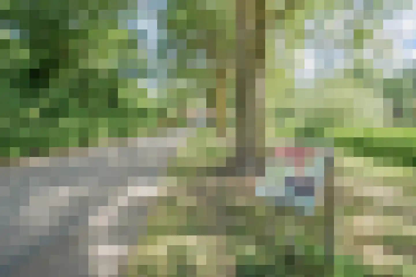 Grashof 4 Alphen aan den Rijn thumbnail 45