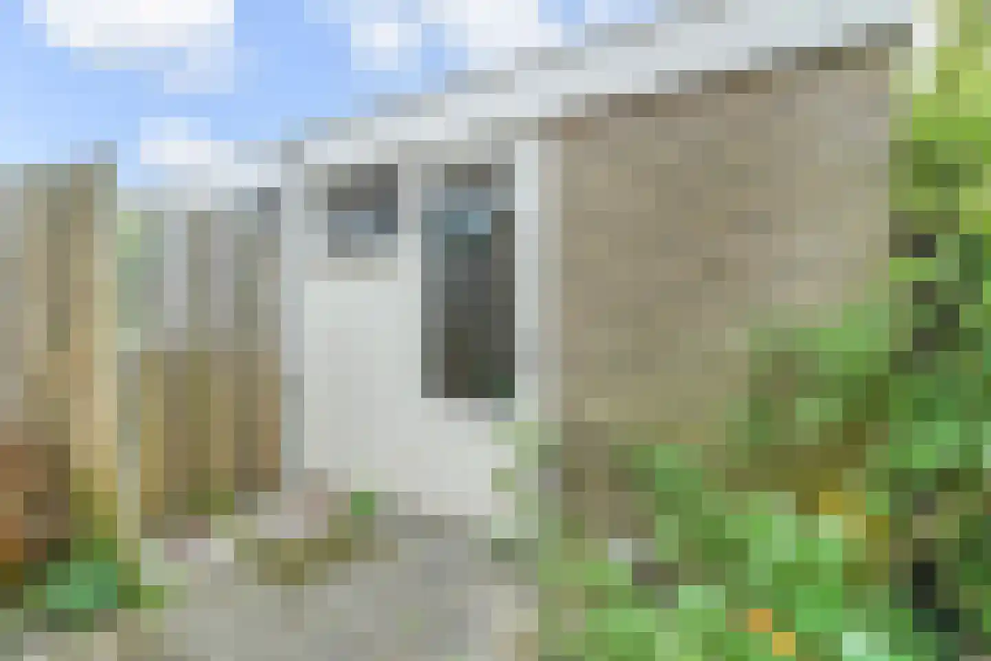 Grashof 4 Alphen aan den Rijn thumbnail 8