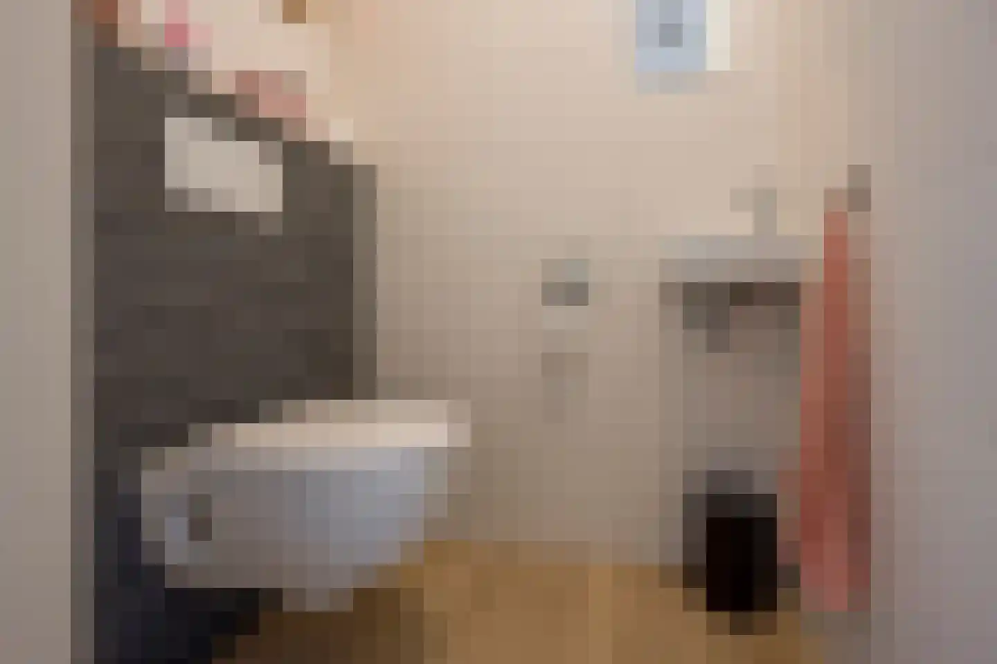Grashof 7 Nijkerk thumbnail 11