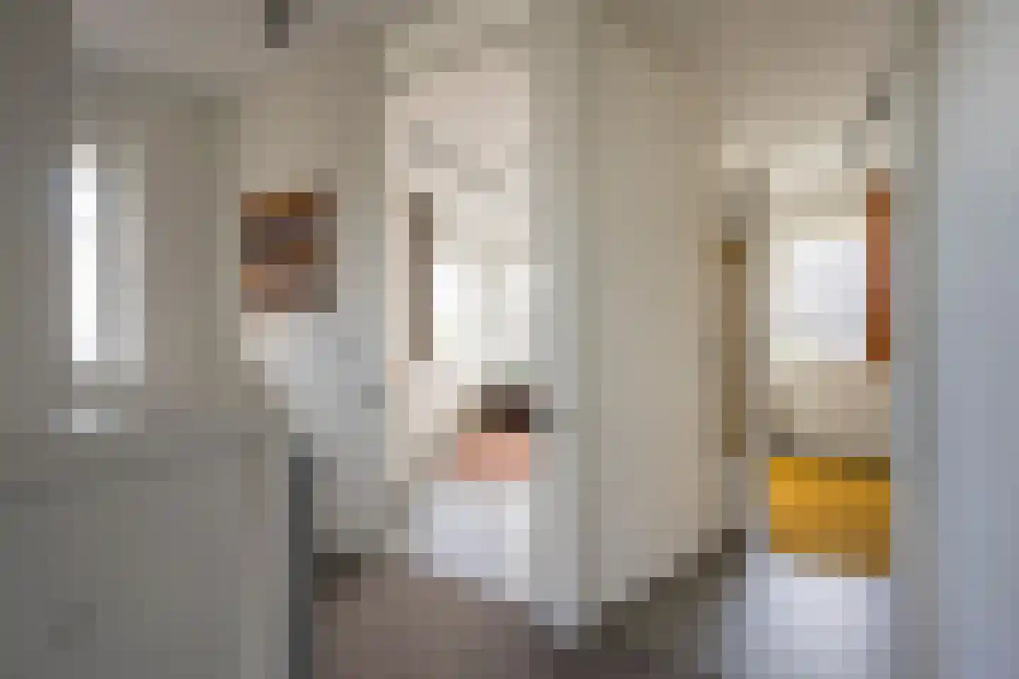 Grashof 7 Nijkerk thumbnail 12