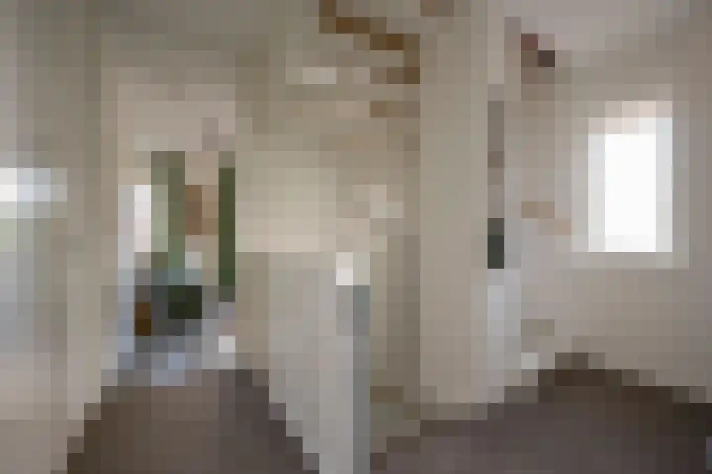 Grashof 7 Nijkerk thumbnail 17