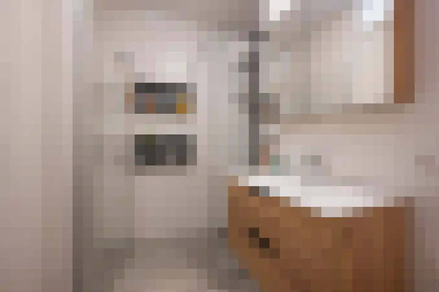 Grashof 7 Nijkerk thumbnail 20