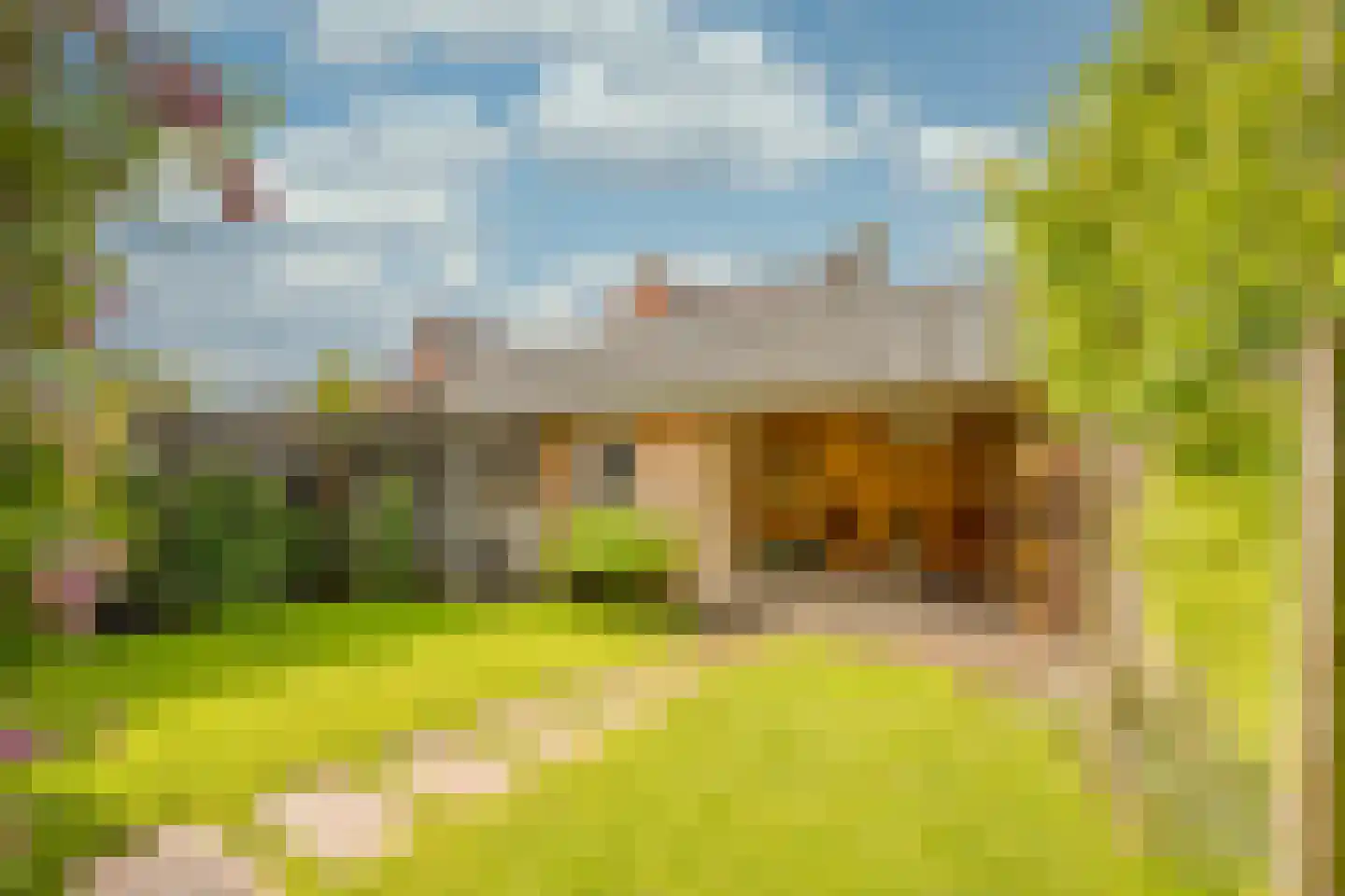 Grashof 7 Nijkerk thumbnail 26