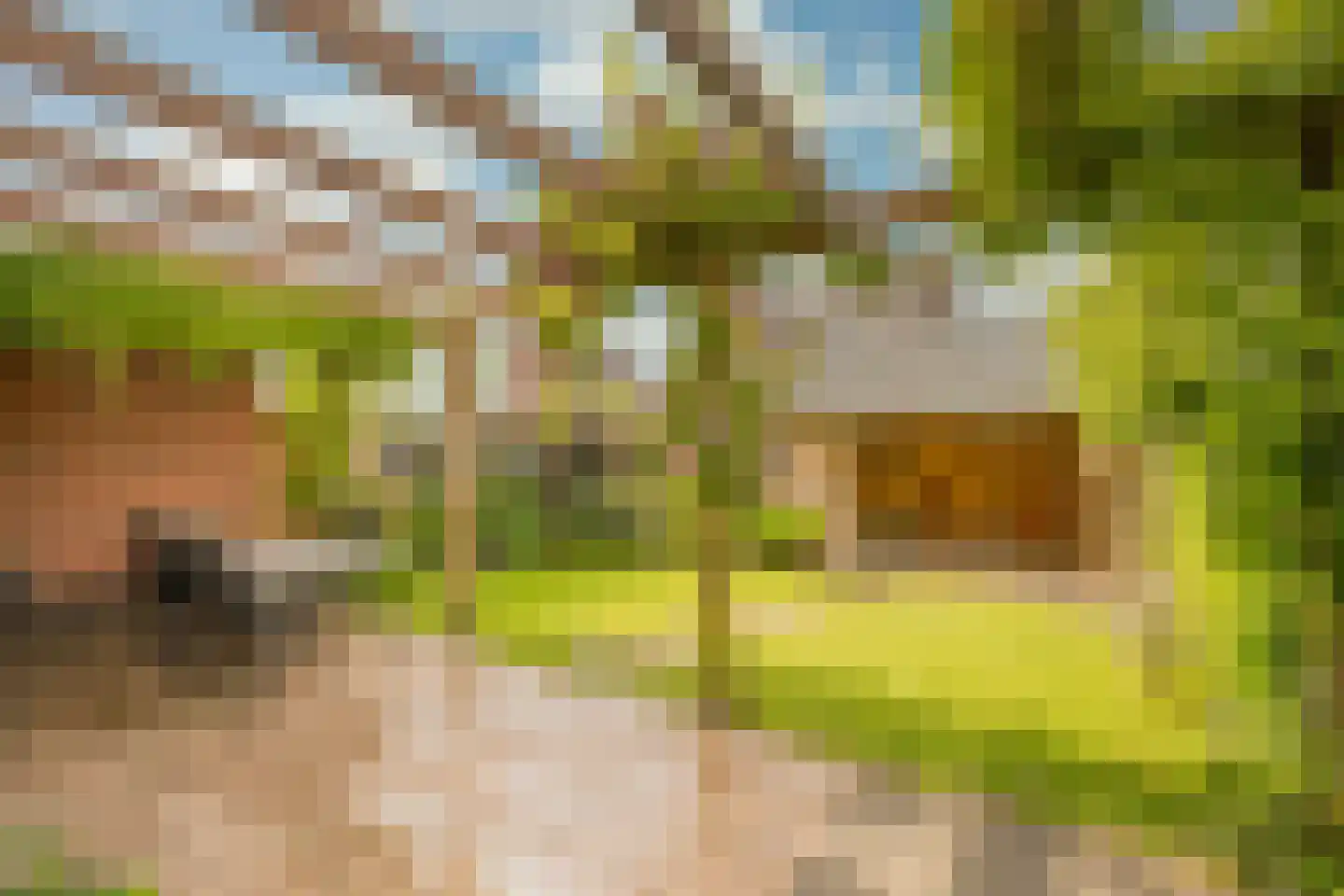 Grashof 7 Nijkerk thumbnail 27
