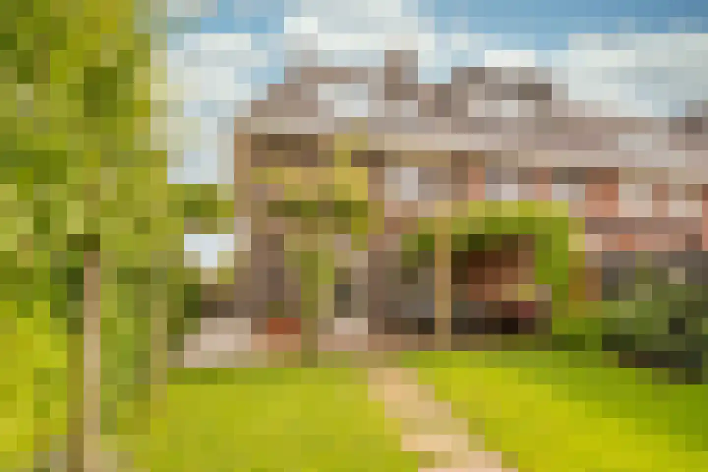 Grashof 7 Nijkerk thumbnail 29