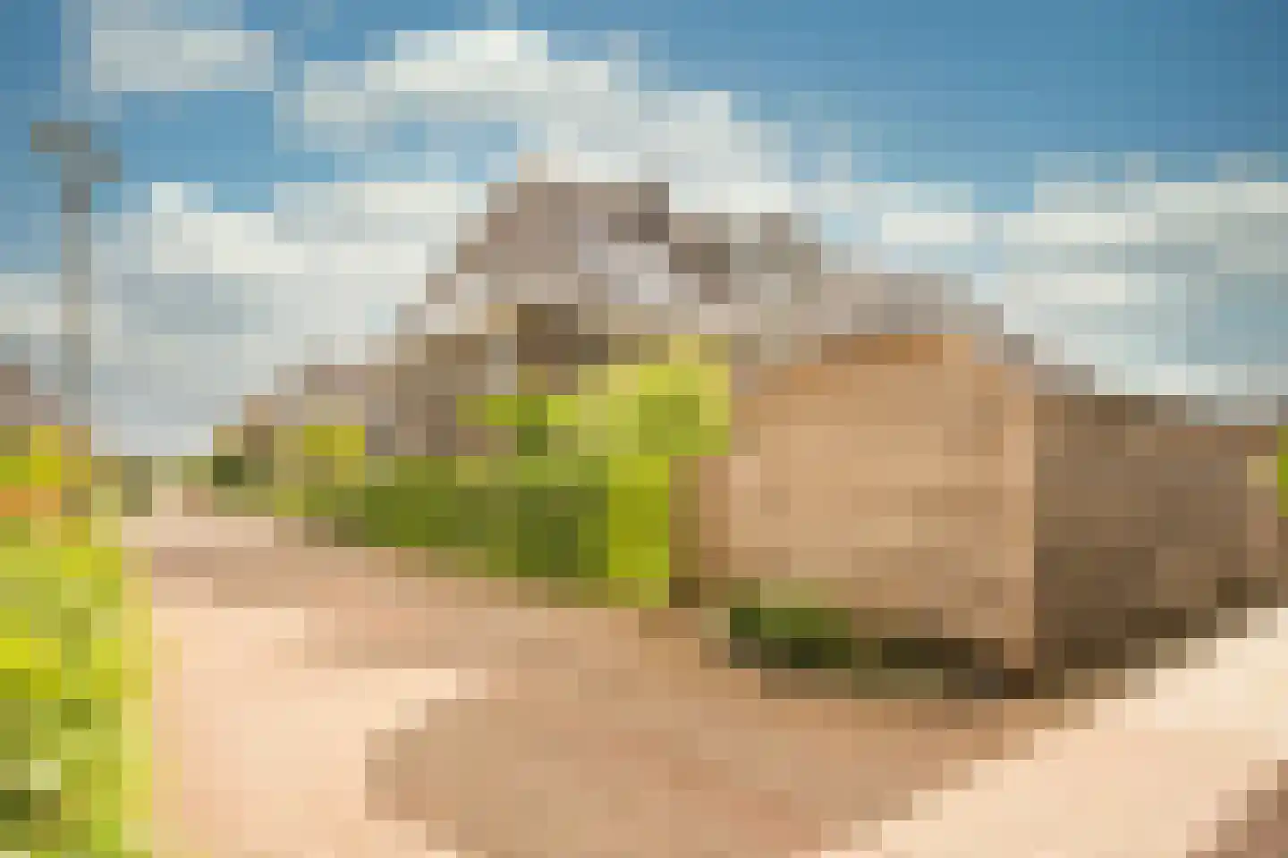 Grashof 7 Nijkerk thumbnail 30