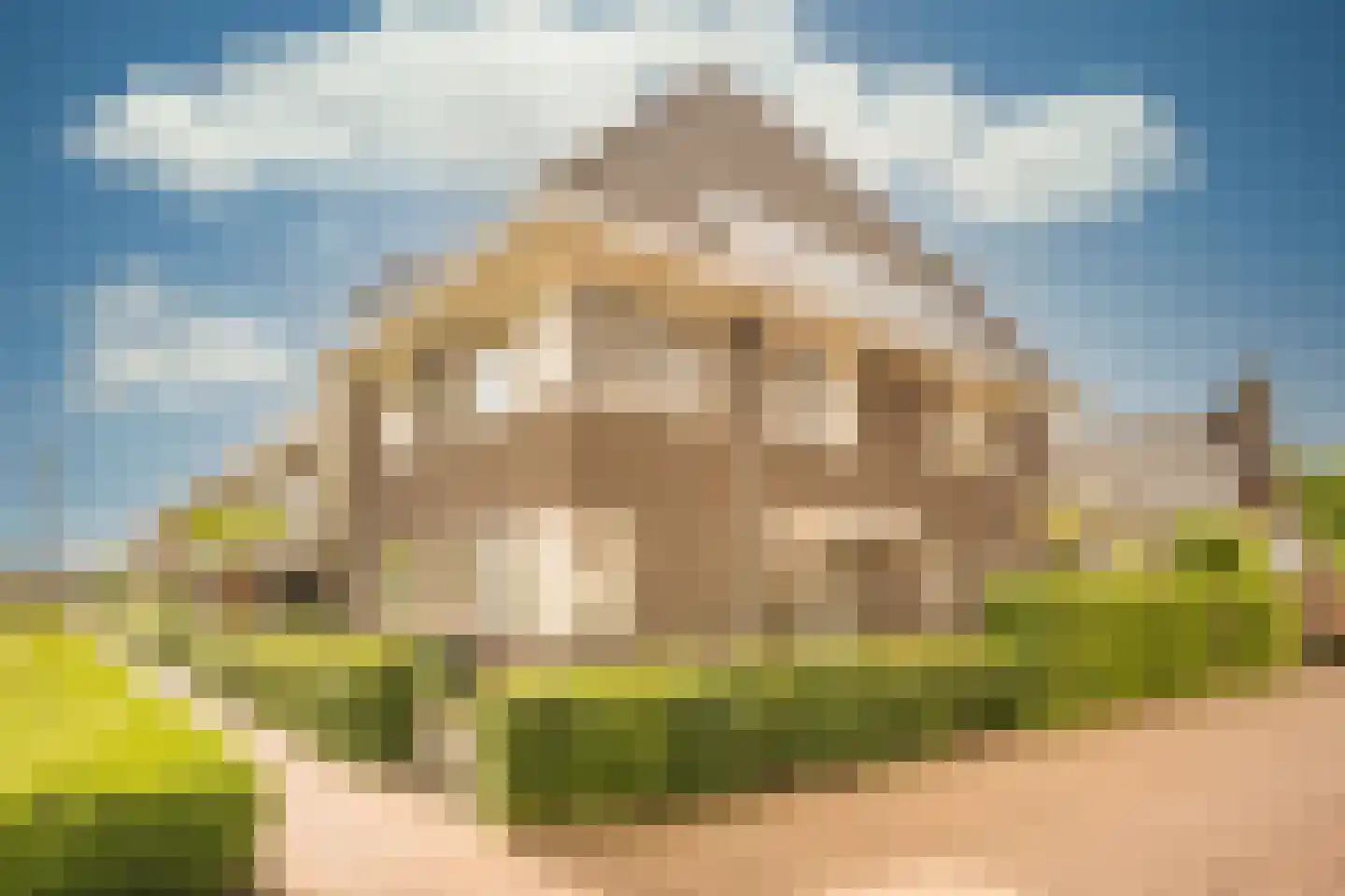 Grashof 7 Nijkerk thumbnail 31