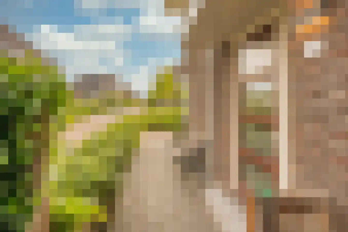 Grashof 7 Nijkerk thumbnail 32
