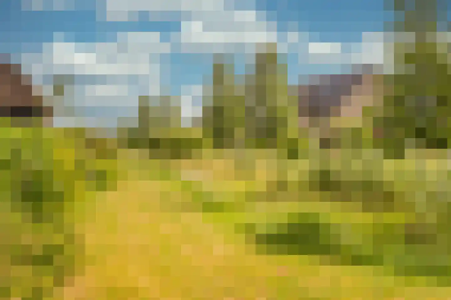 Grashof 7 Nijkerk thumbnail 34