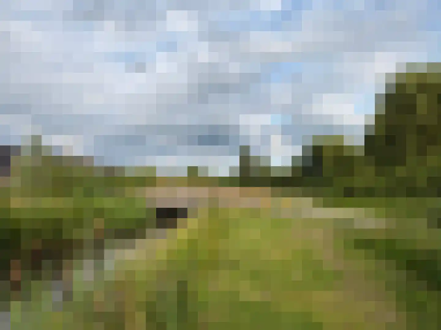 Grashof 7 Nijkerk thumbnail 39