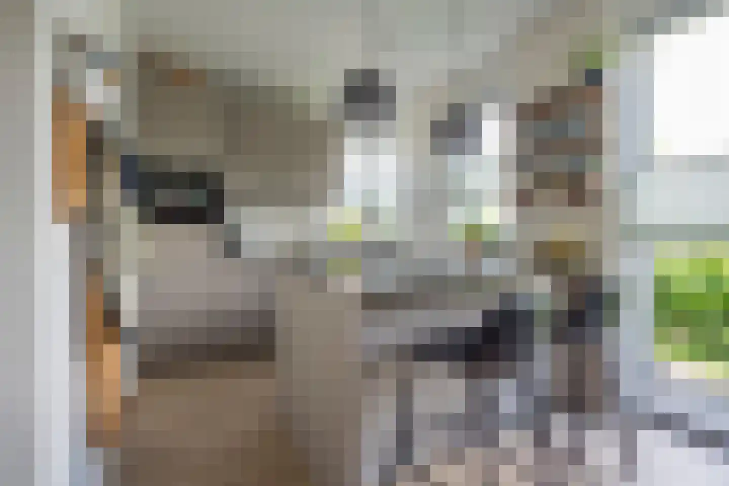 Grashof 7 Nijkerk thumbnail 6