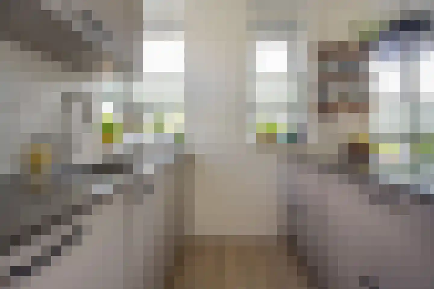 Grashof 7 Nijkerk thumbnail 7