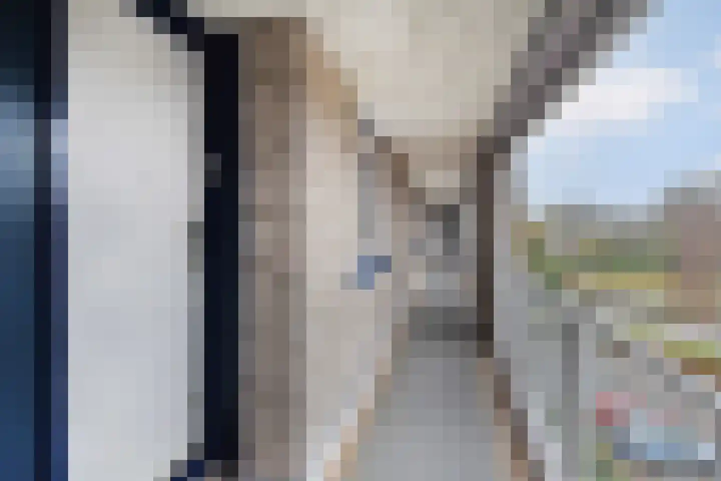 Grashof 95 Leidschendam thumbnail 30