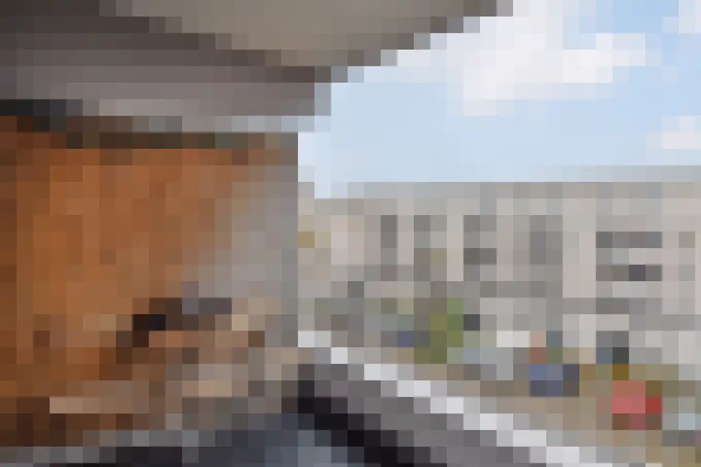 Grashof 95 Leidschendam thumbnail 7