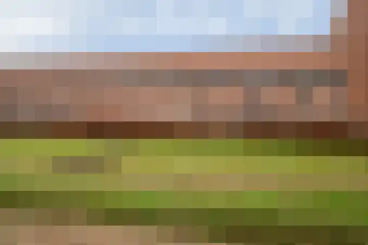 Grasjuffer 138 Enschede thumbnail 33