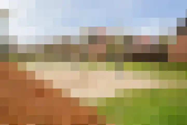 Grasjuffer 138 Enschede thumbnail 34