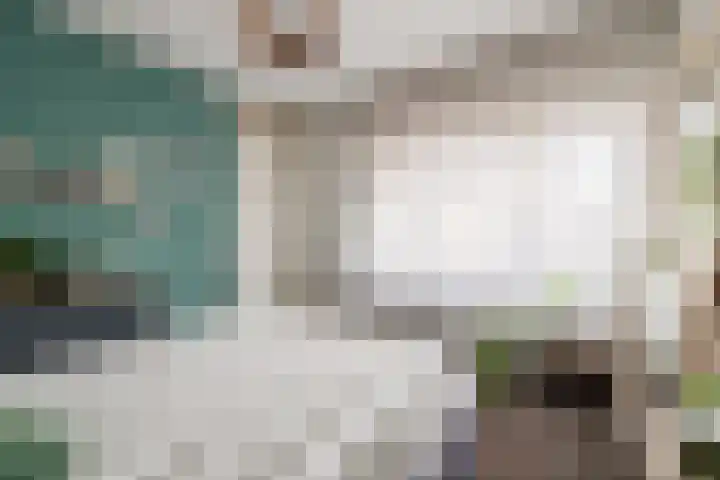 Graskamp 14 Eindhoven thumbnail 16