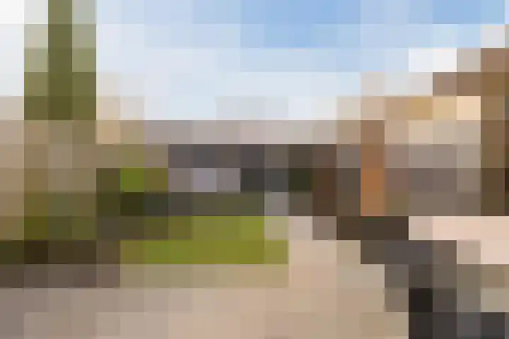 Graskamp 14 Eindhoven thumbnail 25