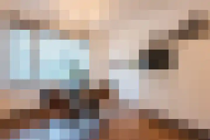 Graskamp 14 Eindhoven thumbnail 9