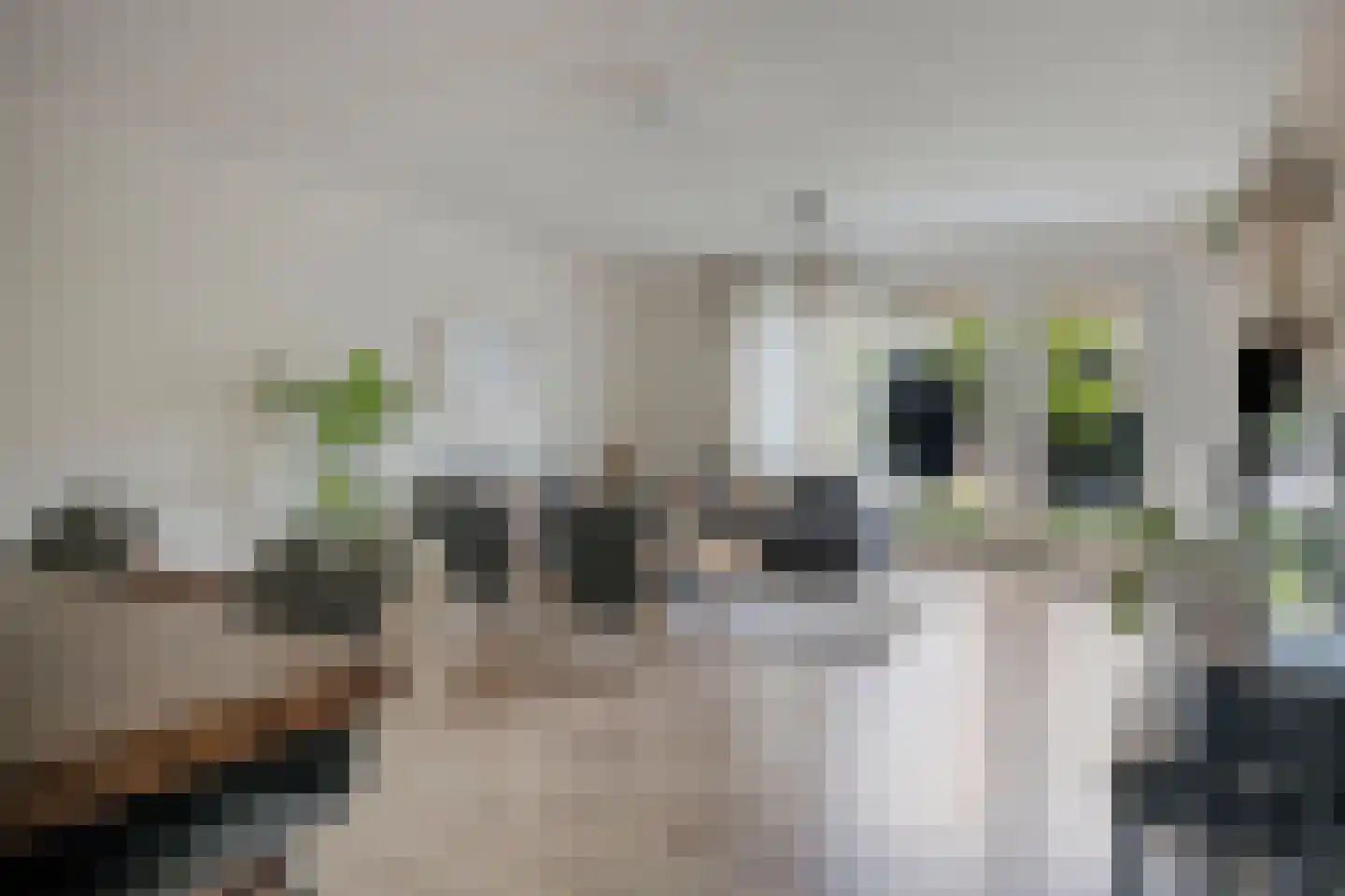 Graskamp 21 Eindhoven thumbnail 15