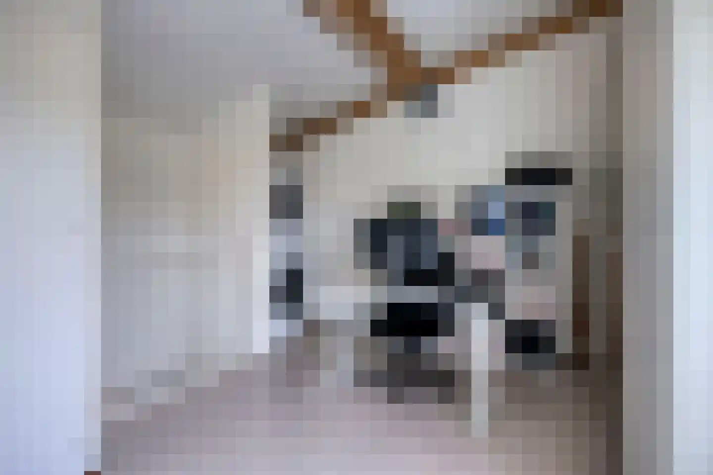 Graskamp 21 Eindhoven thumbnail 19