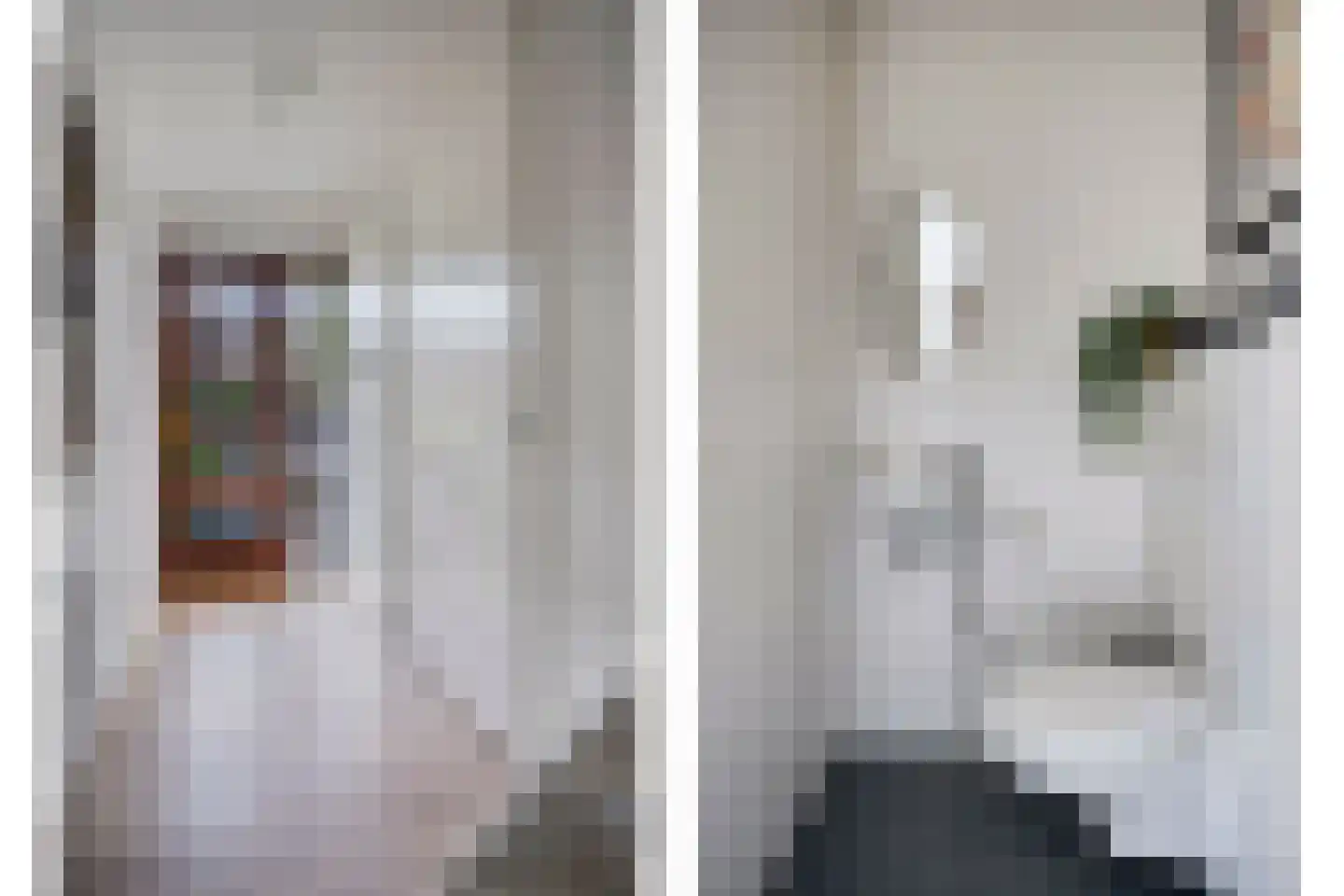 Graskamp 21 Eindhoven thumbnail 4