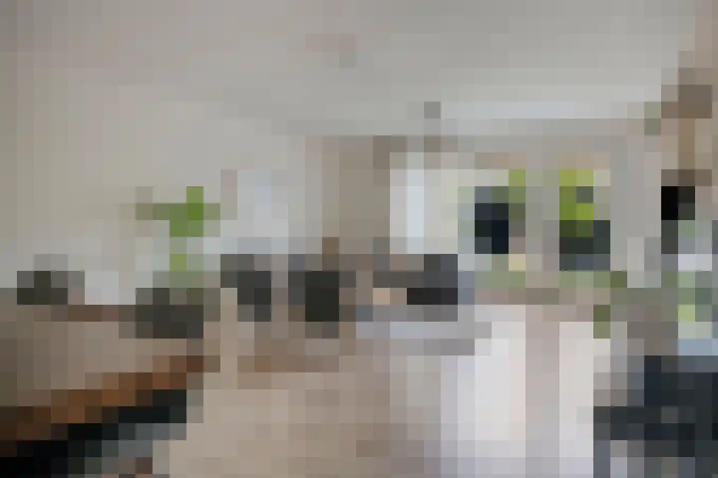 Graskamp 21 Eindhoven thumbnail 5
