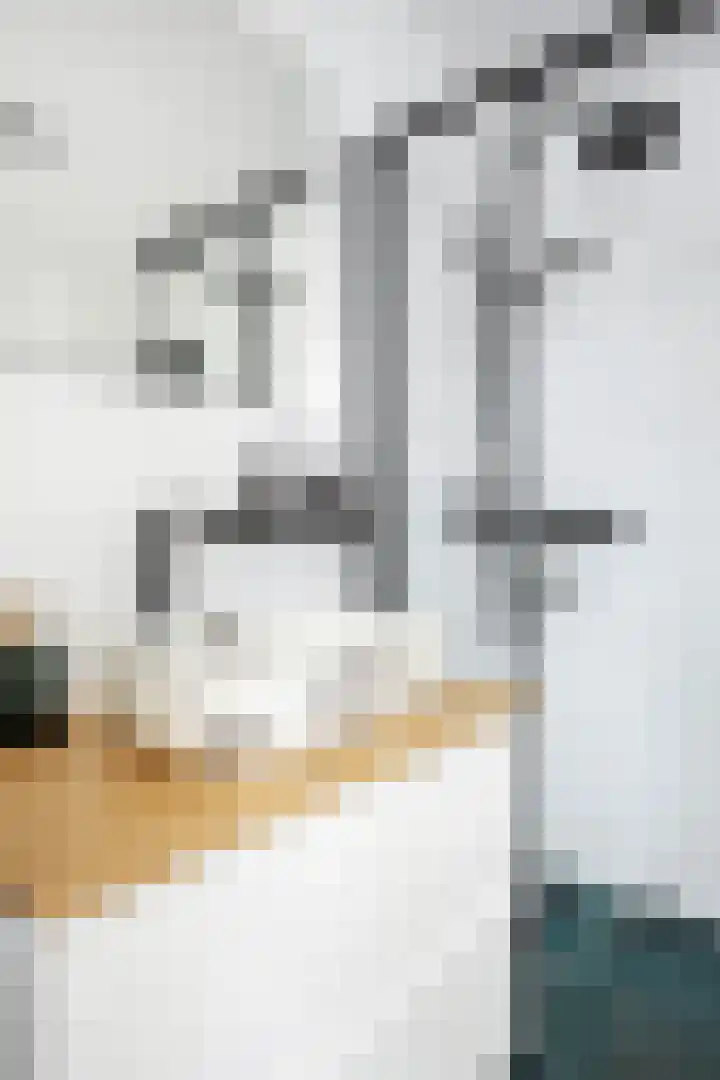 Graskampen 7 Vries thumbnail 21