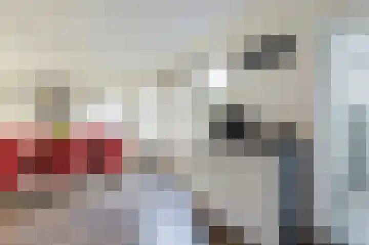 Graskampen 7 Vries thumbnail 23
