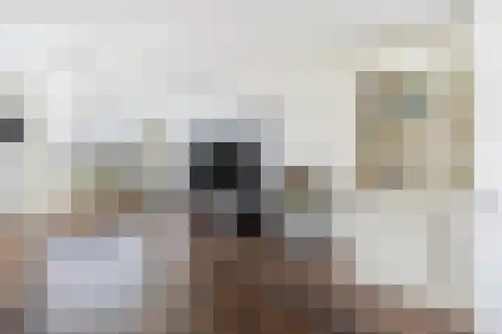 Graskampen 7 Vries thumbnail 9