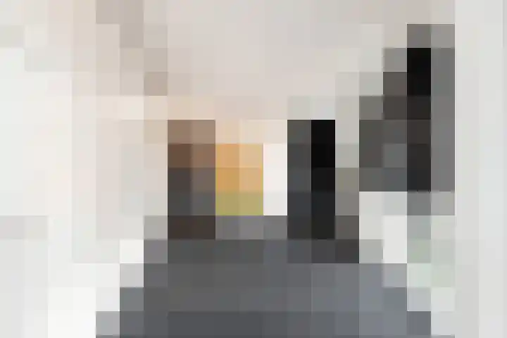 Graskamplaan 64 Uitgeest thumbnail 27