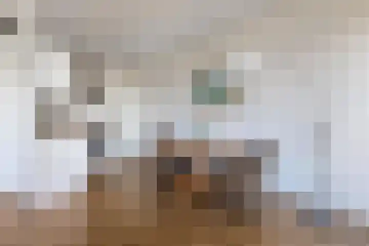 Graskamplaan 74 Uitgeest thumbnail 15