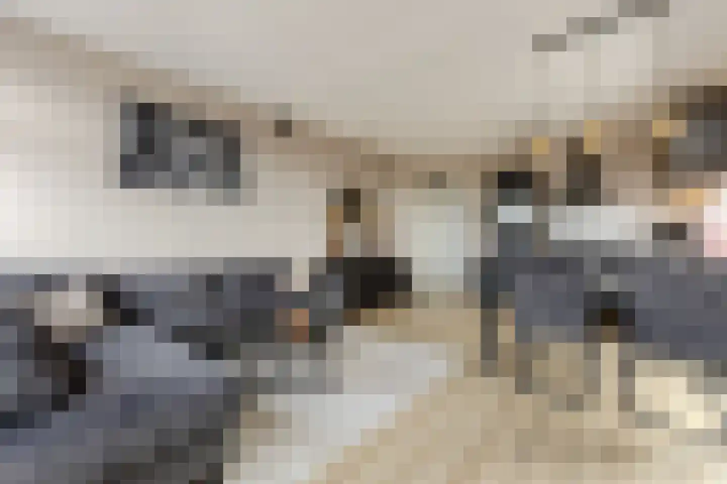 Graskamplaan 75 Uitgeest thumbnail 5
