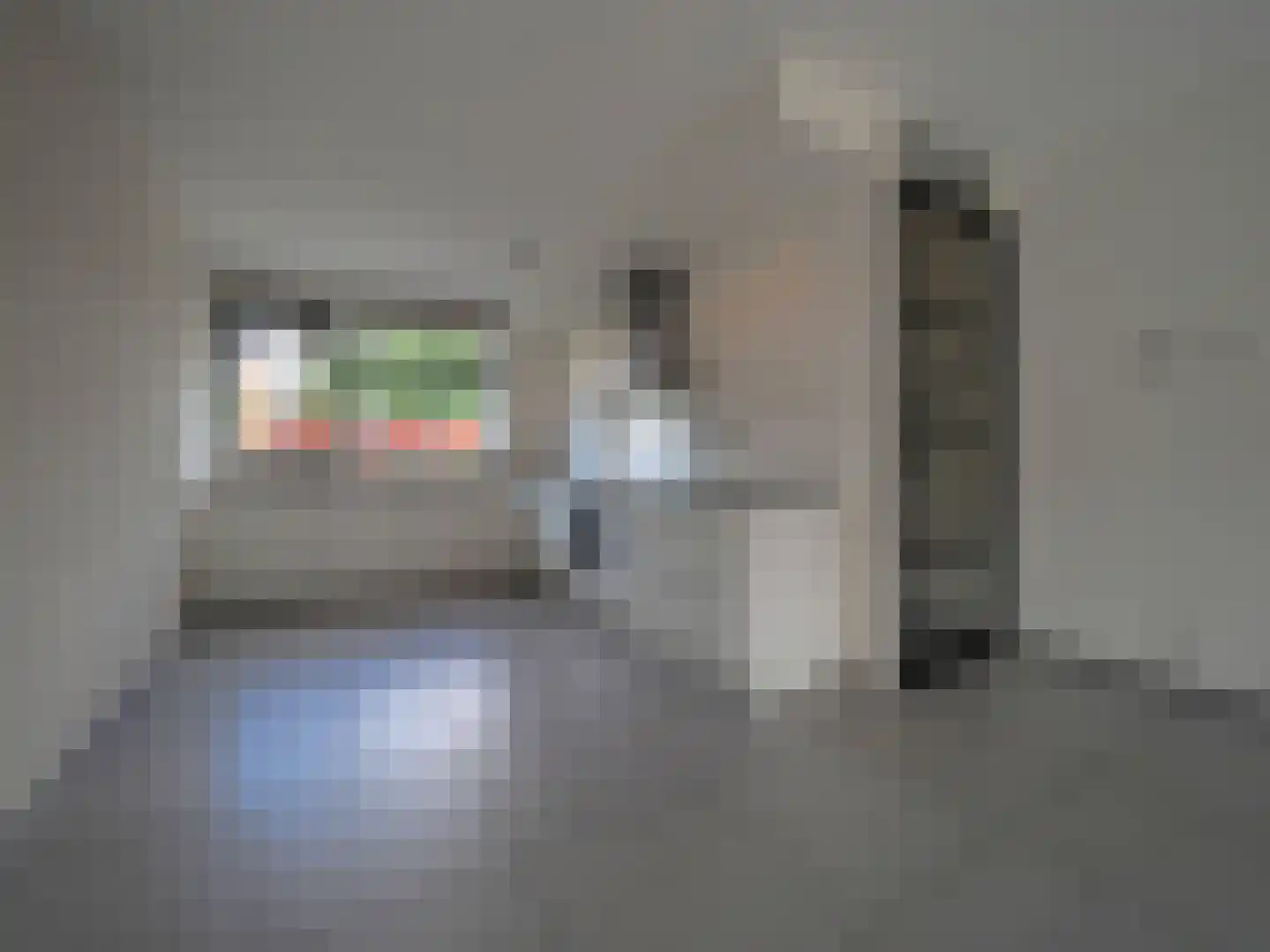 Graskarper 18 Papendrecht thumbnail 12