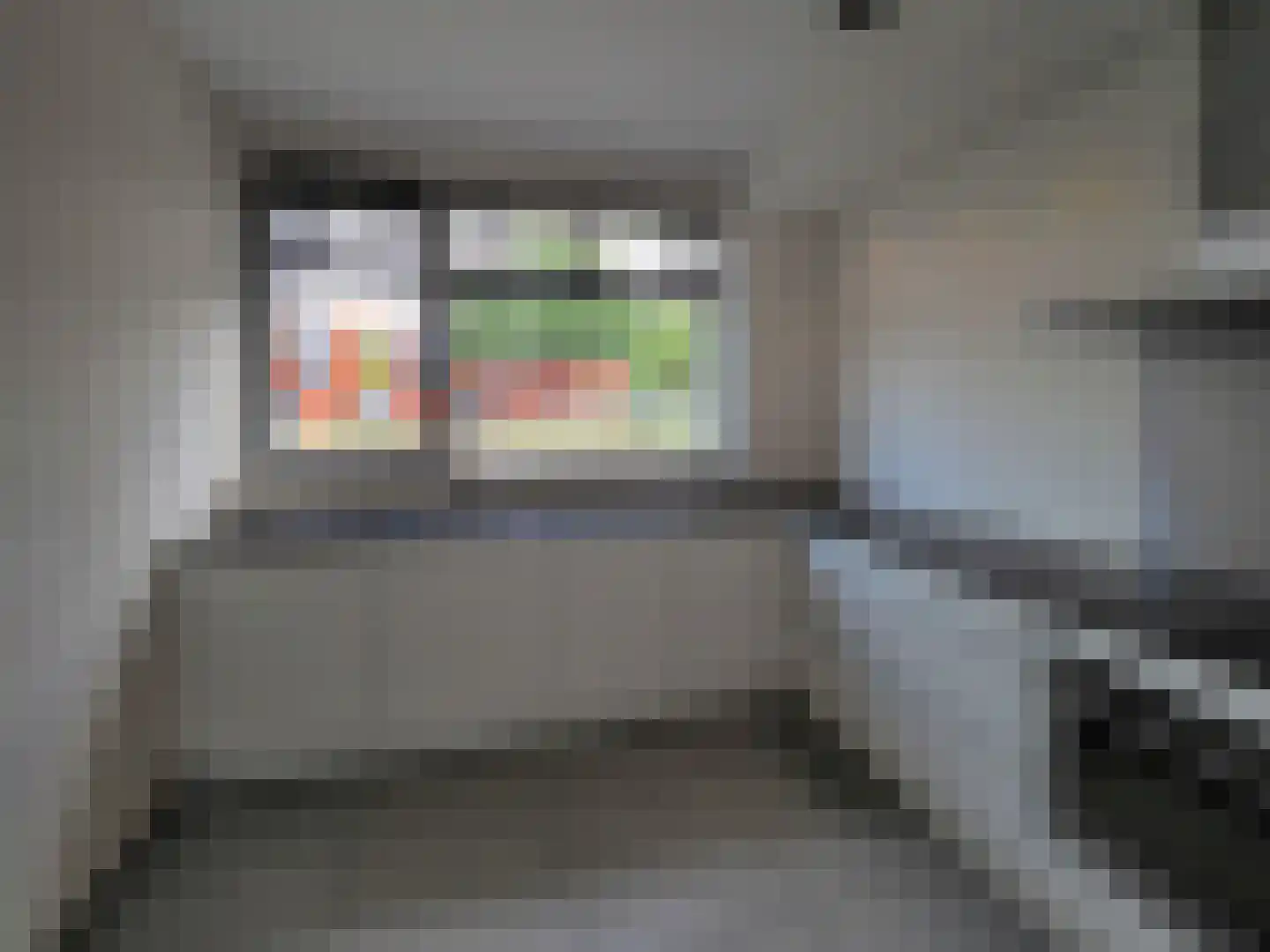 Graskarper 18 Papendrecht thumbnail 13
