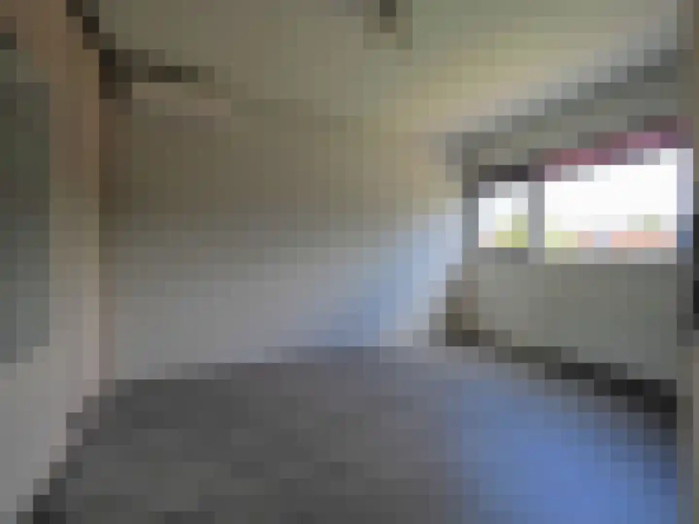 Graskarper 18 Papendrecht thumbnail 17