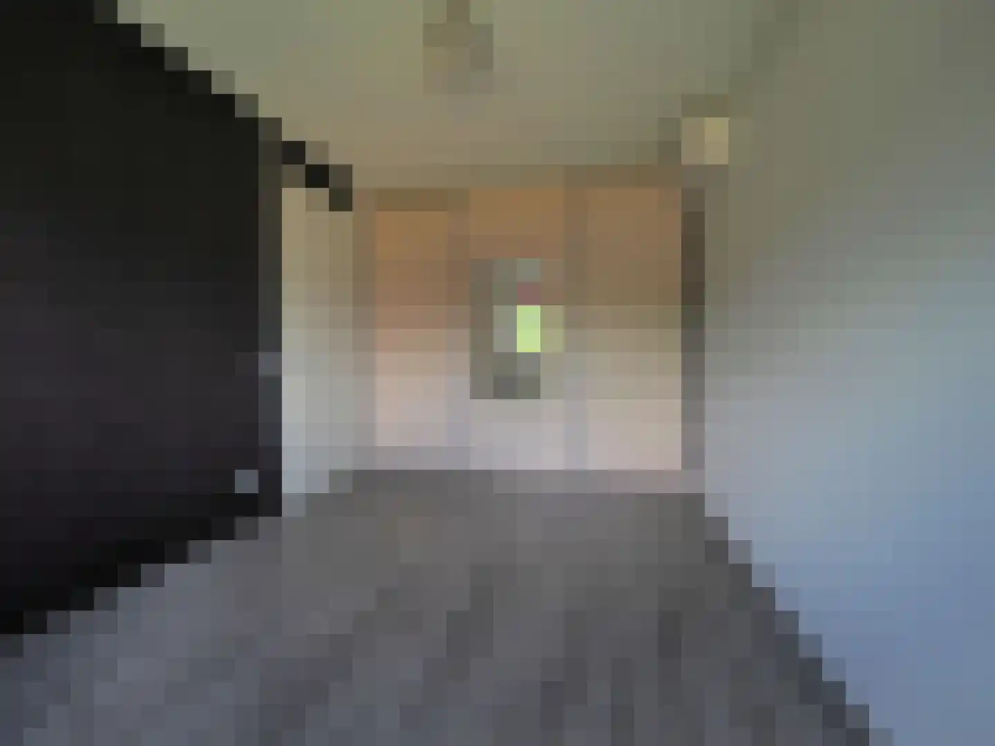 Graskarper 18 Papendrecht thumbnail 18