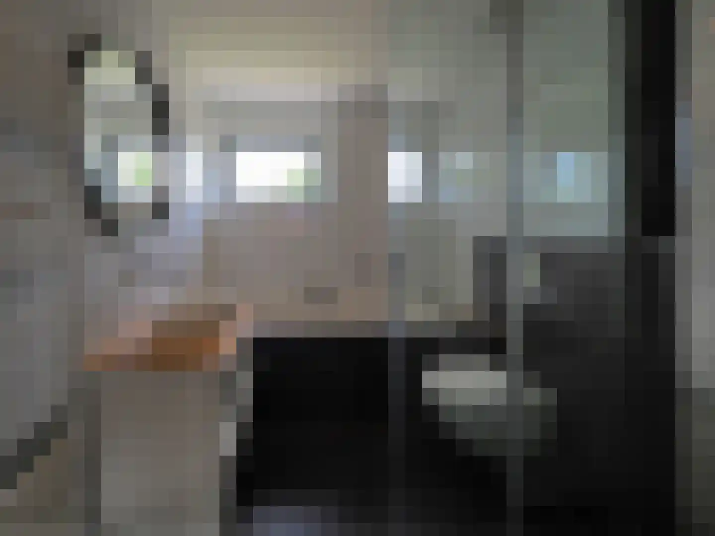 Graskarper 18 Papendrecht thumbnail 23
