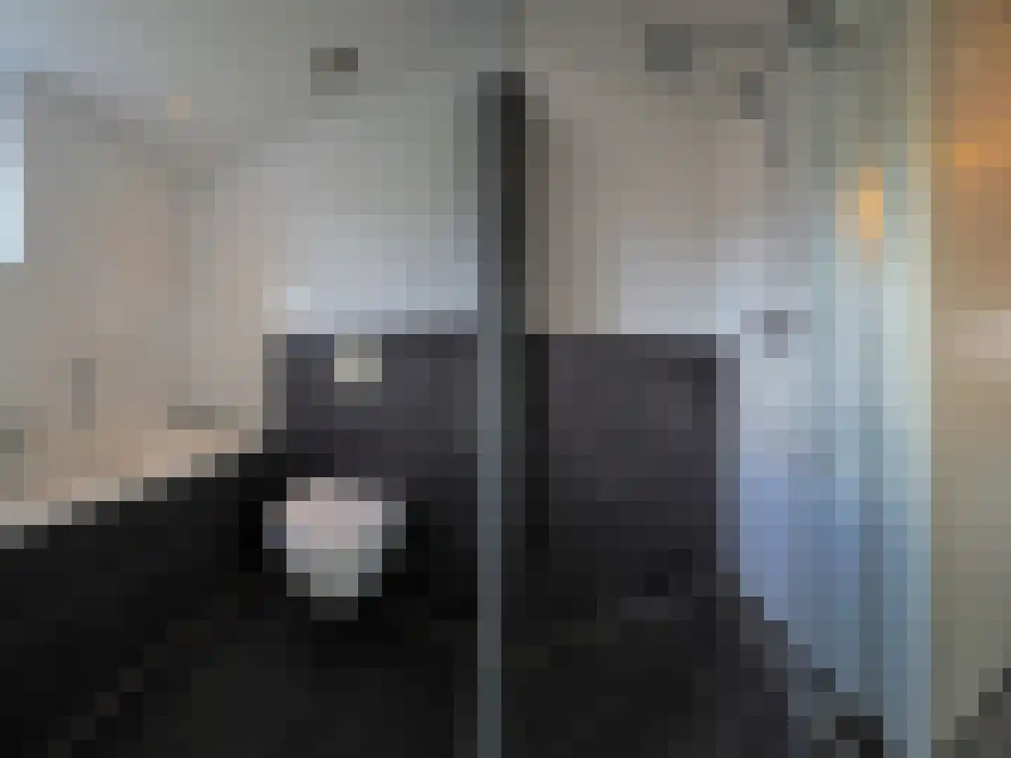 Graskarper 18 Papendrecht thumbnail 25