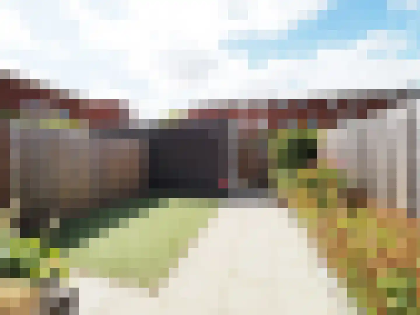 Graskarper 18 Papendrecht thumbnail 31