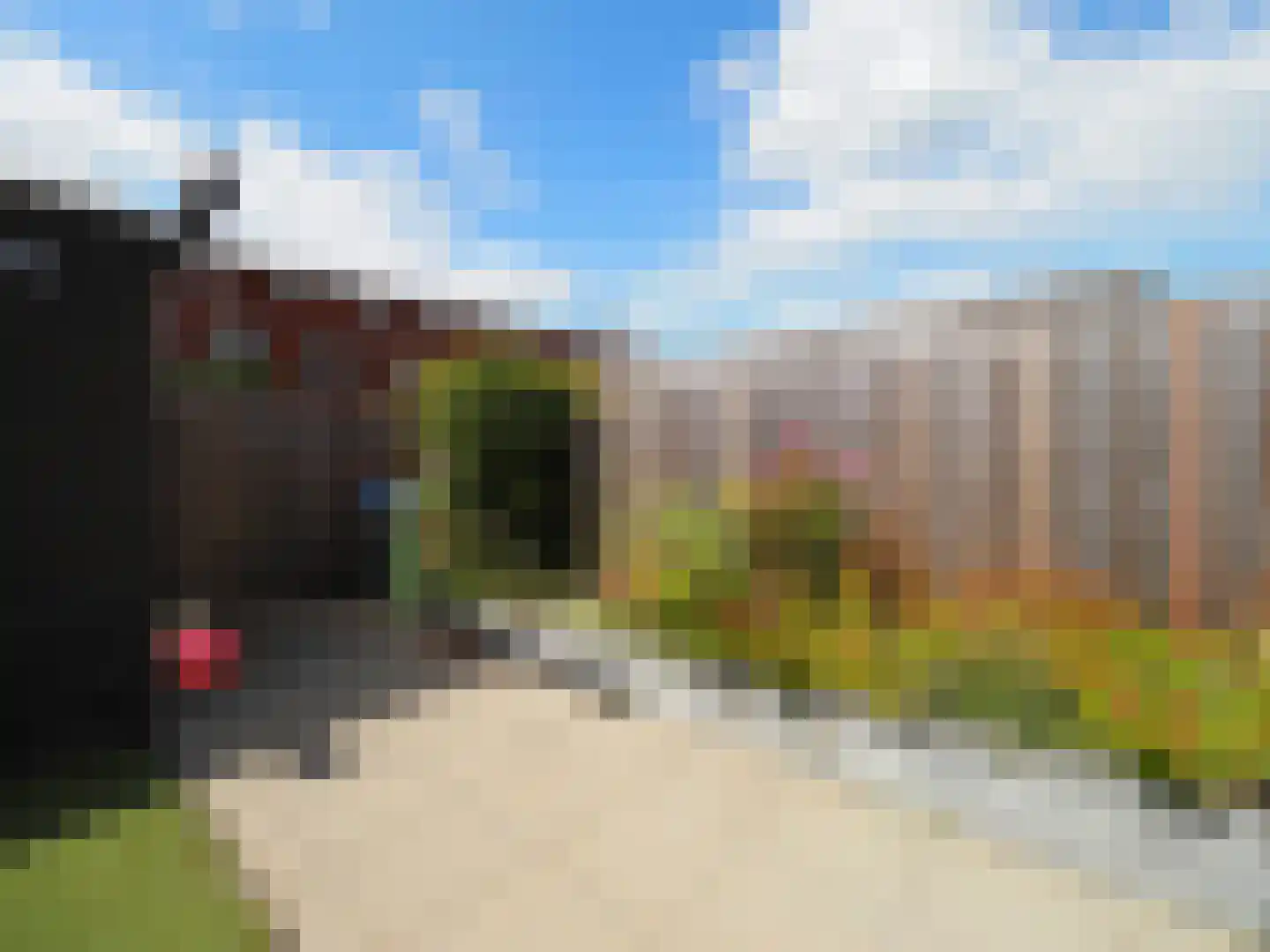 Graskarper 18 Papendrecht thumbnail 32