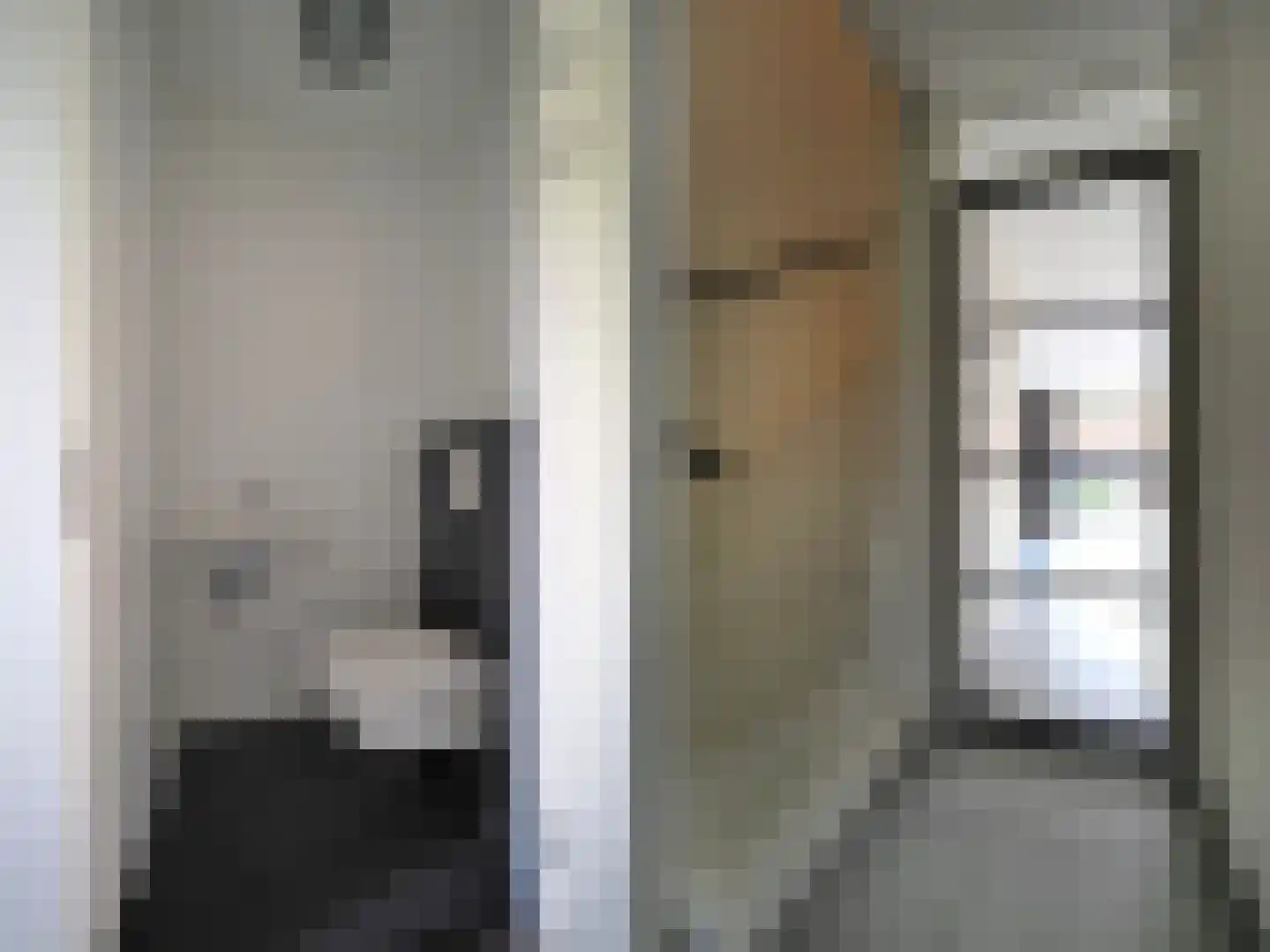 Graskarper 18 Papendrecht thumbnail 6