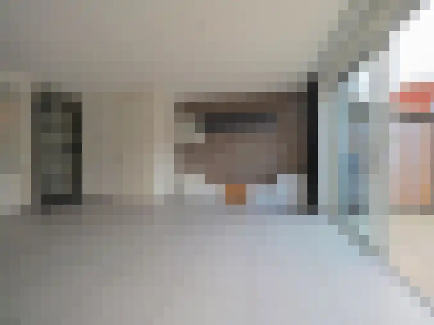 Graskarper 18 Papendrecht thumbnail 9