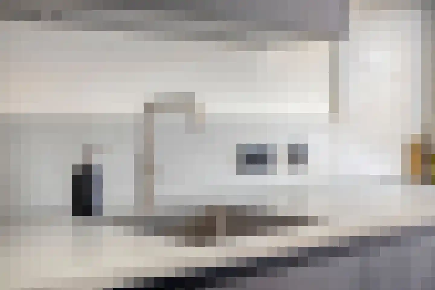 Graskarper 35 Eindhoven thumbnail 11