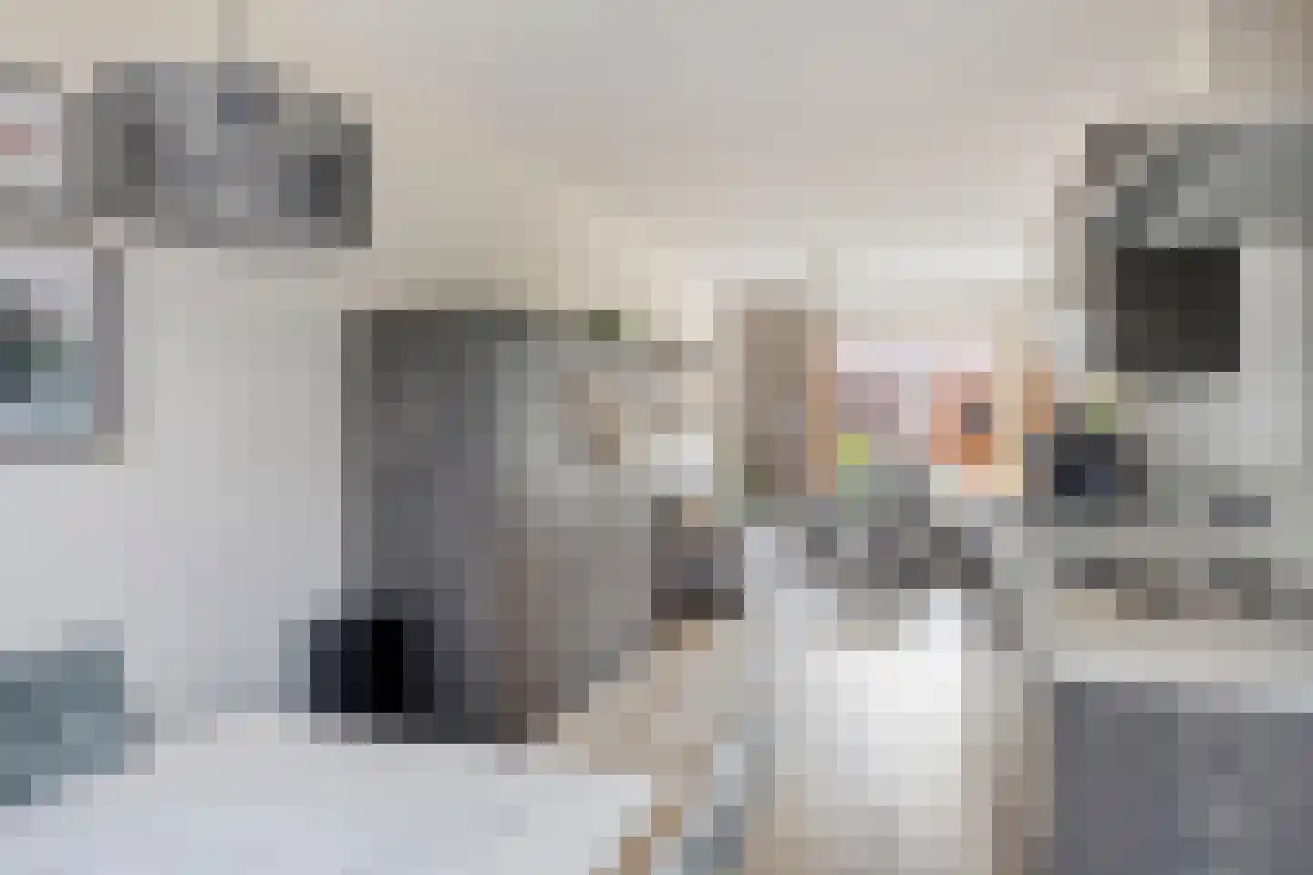 Graskarper 35 Eindhoven thumbnail 13
