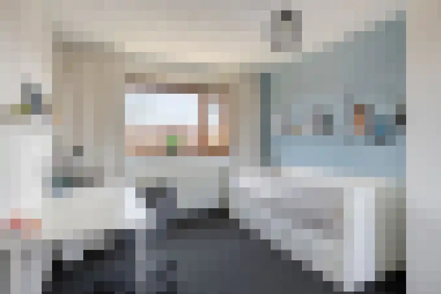 Graskarper 35 Eindhoven thumbnail 24