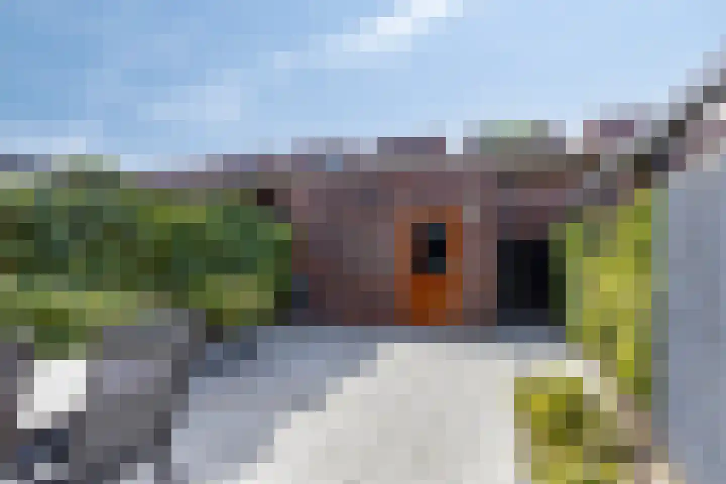 Graskarper 35 Eindhoven thumbnail 26