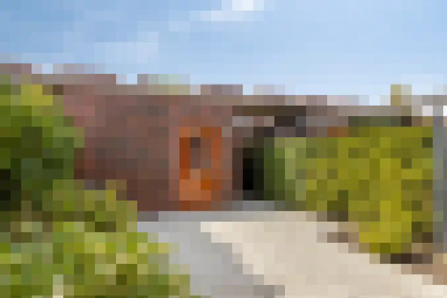 Graskarper 35 Eindhoven thumbnail 27