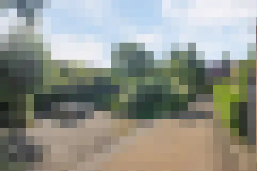 Graskarper 35 Eindhoven thumbnail 31