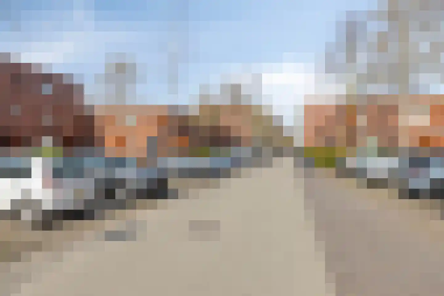 Graskarper 35 Eindhoven thumbnail 33